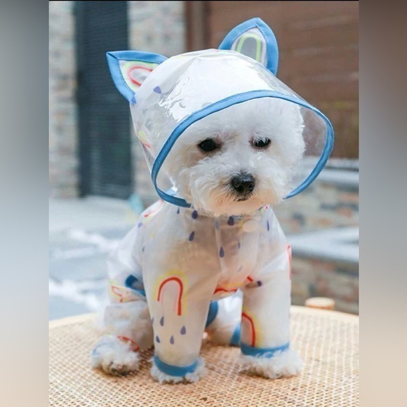 Rebellious Rose Other - Rainbow Print Pet Raincoat